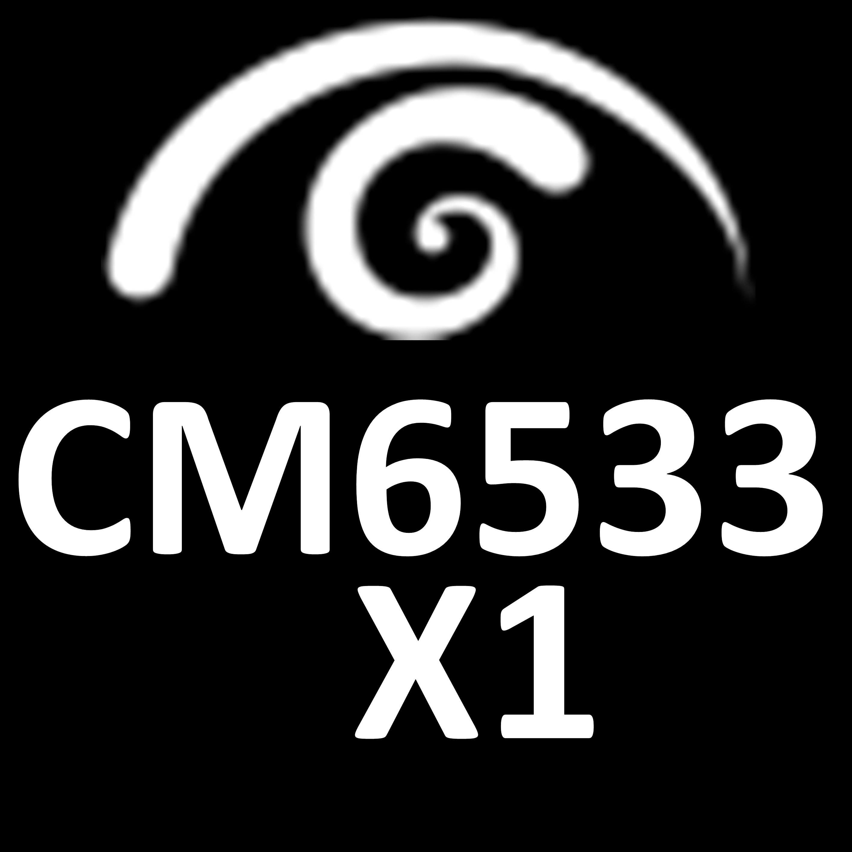 CM6533X1